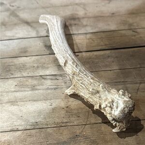 Natural Antler Dog Chew Bone